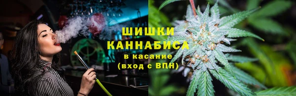 спайс Вяземский