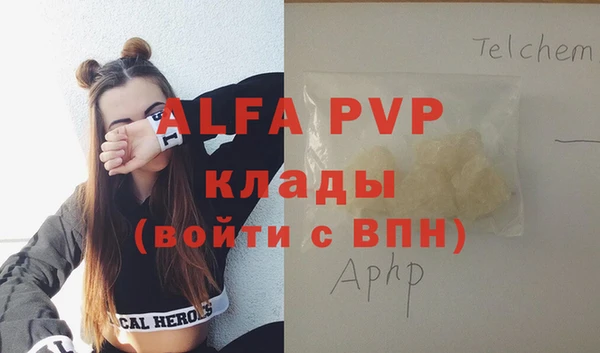 спайс Вяземский