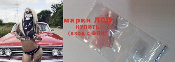 спайс Вяземский
