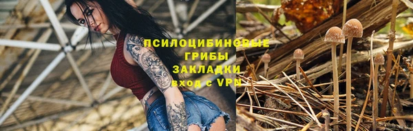спайс Вяземский