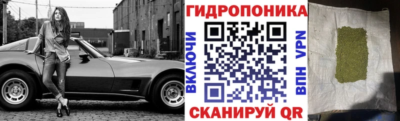 Купить закладки  Кировск  Канабис VHQ 